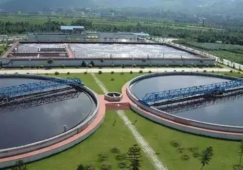 69d4bdd54017f.jpg 39.jpg